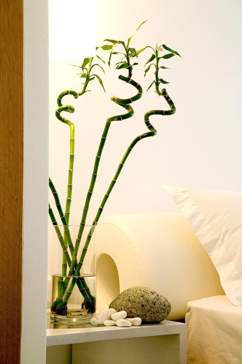 Petasos Beach Resort & Spa - Small Luxury Hotels Of The World Platys Gialos  Exteriör bild